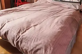 女子经常带男友回出租房住，房东多次打招呼，女子退租后把房东给告了！律师：女租客明显违约图片