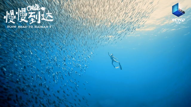 988公里环游海南岛！CCTV-9新片太美了