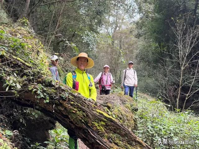 徒步武定香水箐，赏野草香飘、听溪流淙淙，徜徉绿水青山中，惬意