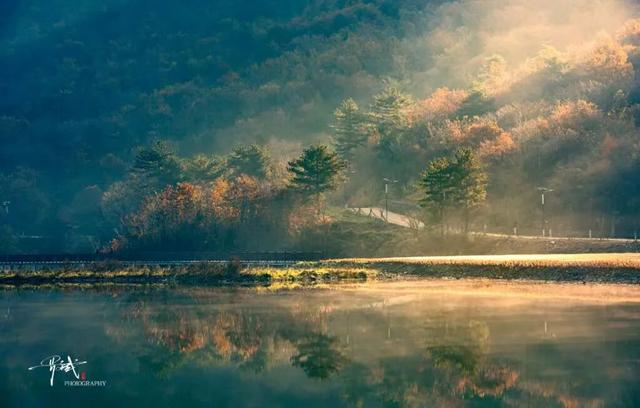 2025利州秋色，每一帧都是限定浪漫