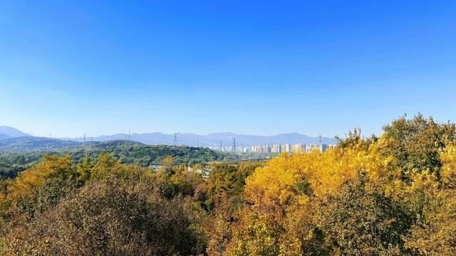 赏秋登高正当时！丰台这些好去处——