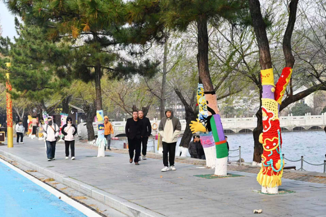 连云港：花果山大树集体穿上了“猴哥牌”毛衣