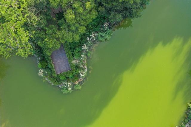 慢村快港，渣濑湾的时空交响