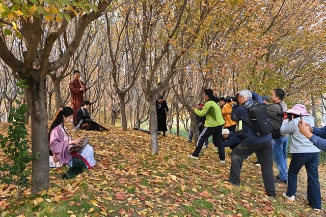 枫红映雁塔！一场枫叶与艺术的邂逅