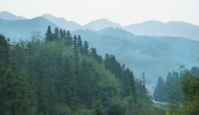 第五部：达州——巴山夜雨，三江汇流的烟火与脊梁