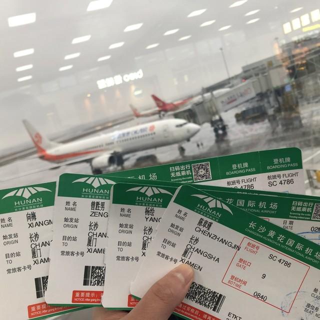 解锁廉价航空机票购买秘籍，开启省钱之旅！