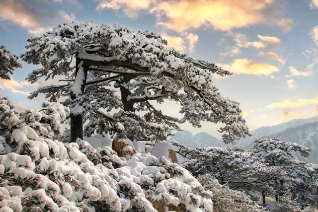 快看！从哈尔滨的冰雕里，挖出了整个真·泰安！