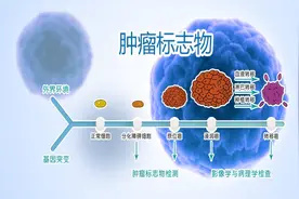 肿瘤标志物检测及其临床应用图片