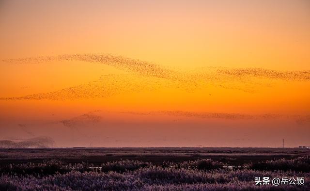摄影年鉴|2025，我的风光摄影作品——日出日落篇