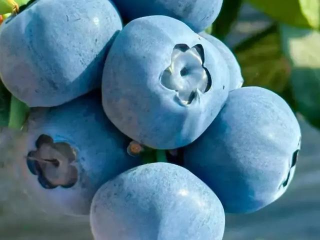 成都双子塔巨幕喊你赴约:“天气凉了,去米易吧!”