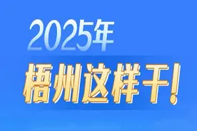 2025年，梧州这样干！图片