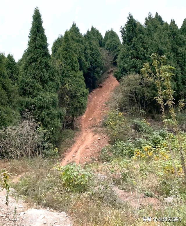 成都龙泉山爆红徒步路线，享受超级梭梭板，大人小孩都喜欢！
