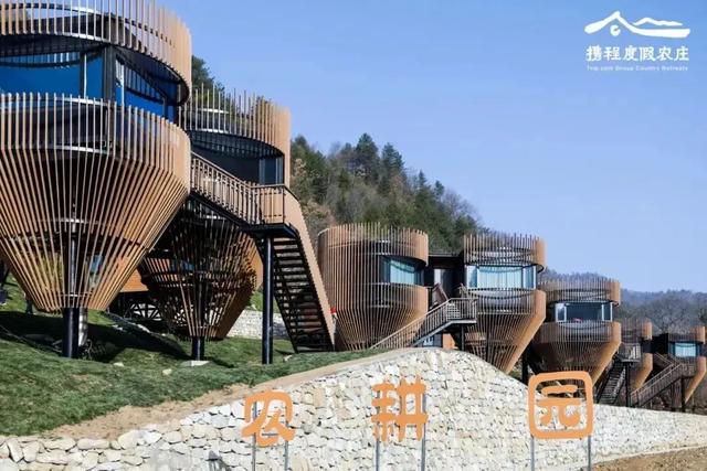 秋假冲鸭!佛坪“秋日乌托邦”,承包你的假日松弛感→