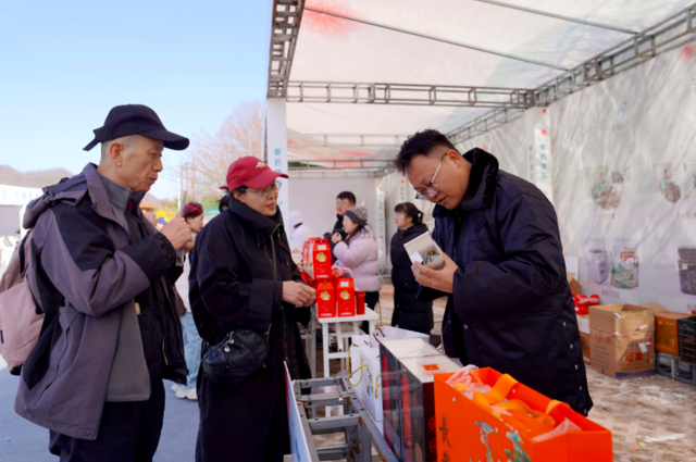 宁陕子午梅苑花初绽 万株梅香中开启“梅”好时光