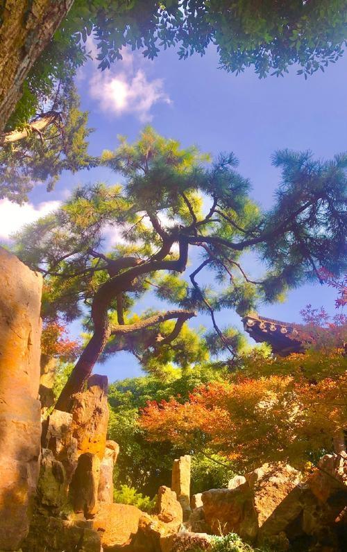 扬州冬始，园林私语