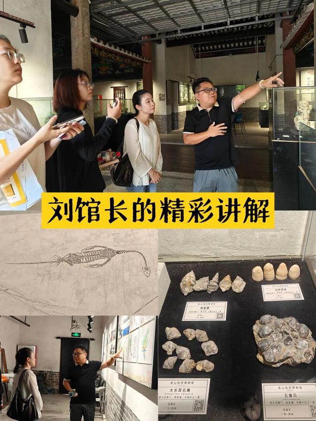 对接会成效 丨 金山地质博物馆五十载厚积薄发，聚力打造博物馆集群