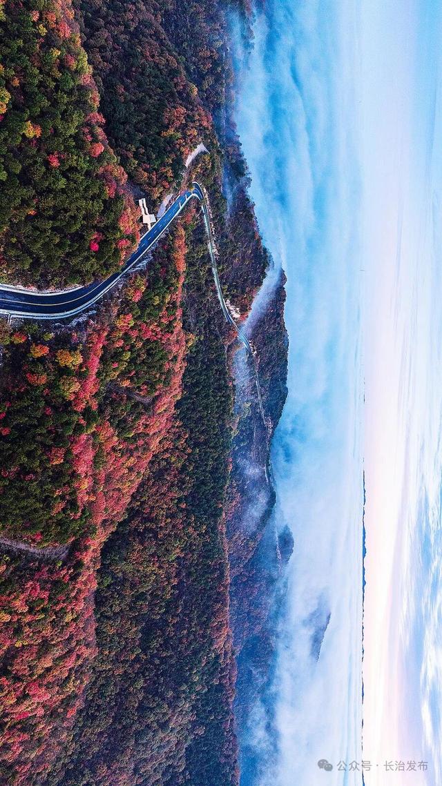 寻色三晋·山河入画｜太行一号旅游公路：在红叶云海间，驶入秋日的山水长卷