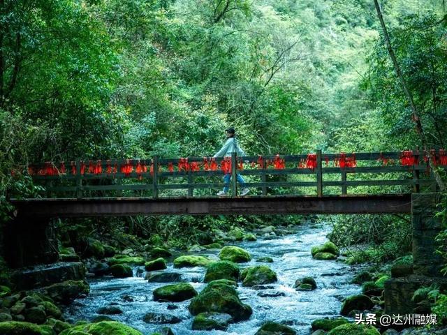 免票！巴山大峡谷向世运会这些人免票！