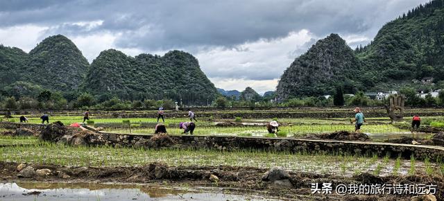 沁入心扉的乡野泥土香