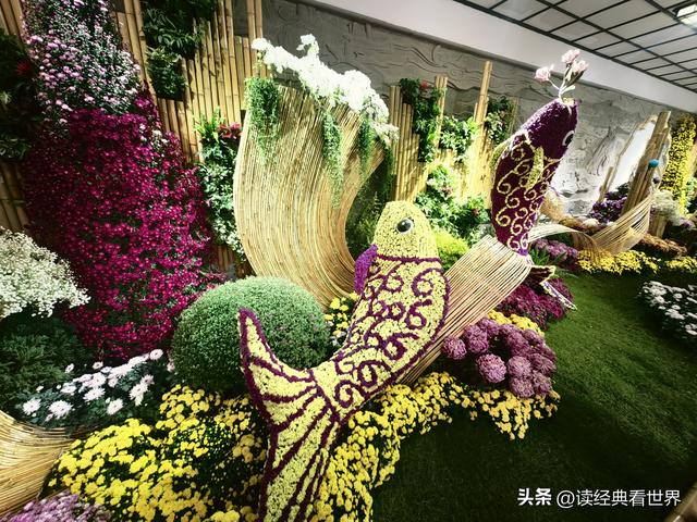 杭州植物园的菊花展——一场关于菊花的饕餮盛宴（一）