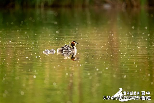榆社县云竹湖：文旅融合绘新卷 诗意山水谱新篇