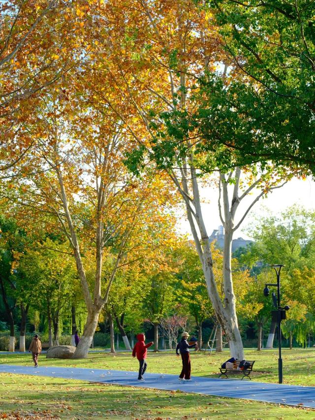 周末N次方 | 打开这份江汉赏秋图鉴→