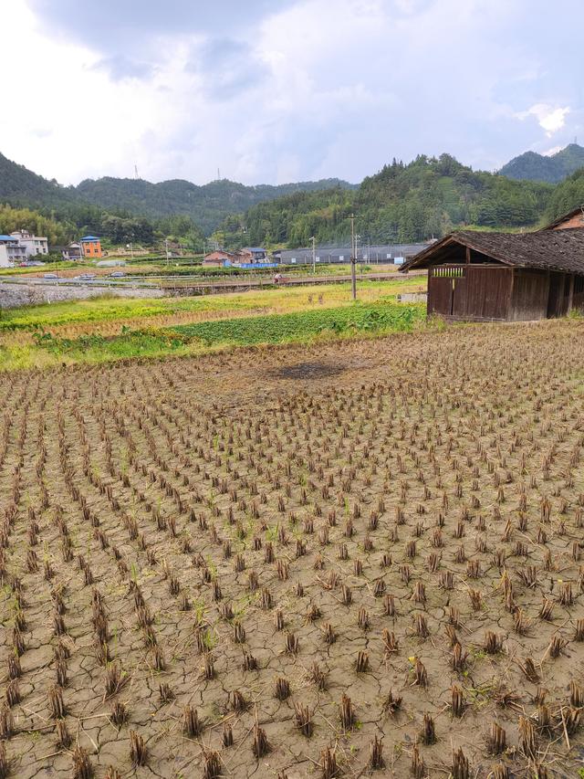 周宁自驾二日游：八蒲村(2025·10·5～6)