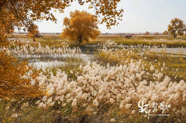 重返新疆，再铸辉煌 新瑞贝·2025中国纺织精英挑战赛走进大美尉犁