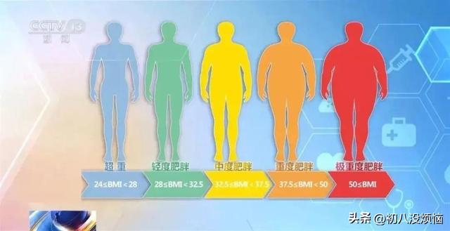 中美印肥胖率差距惊人：美国40％，印度23％，中国出人意料