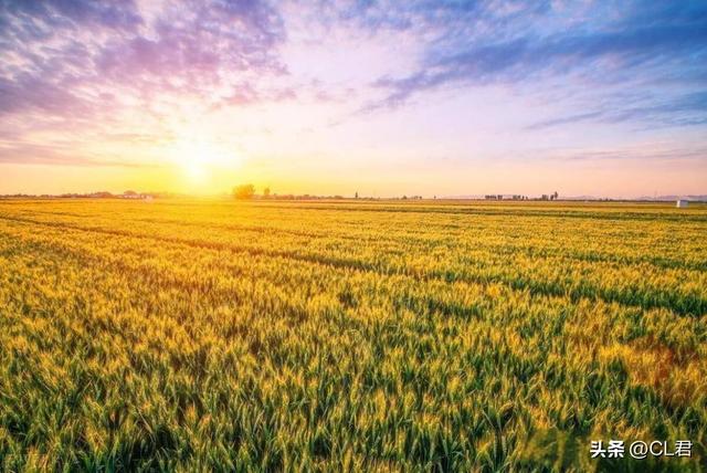 “热不热，看立秋”，今日13点51分立秋，今年秋天热到哭？了解下