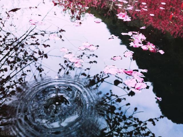 十二首描写三月的诗词，江南三月听莺天，桃花流水鳜鱼肥