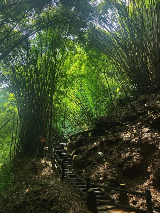 成都1h被严重低估的清幽徒步路线，探访千年古迹下的小众秘境！