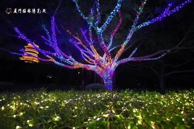 厦门园博苑花灯又上新！走进秋夜浪漫花月夜~