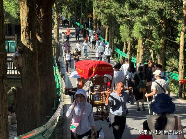 衡山小记：一场弥补遗憾的治愈之旅