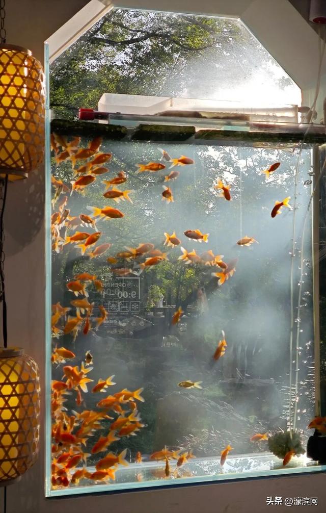 秋色“进度条”加载中，狼山森林公园赏秋点等你来打卡→