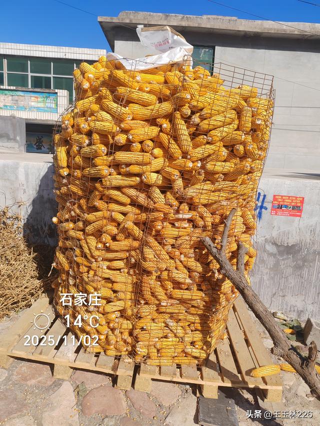 不容错过的无A级景区