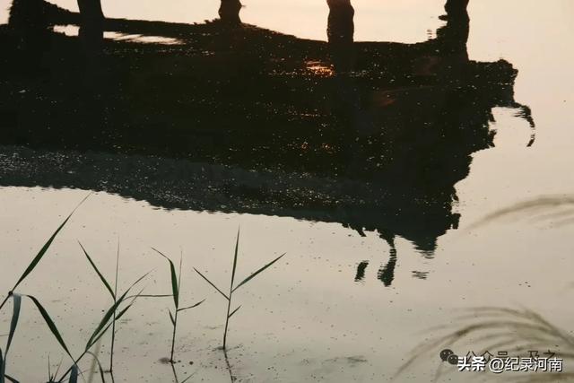 盛夏的商丘古城，希望清明上河园入住后早日实现一日梦回几百年