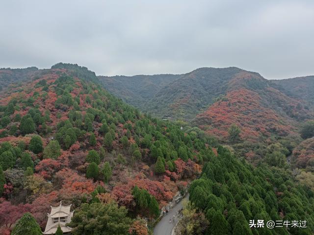 无为在歧路，济南红叶谷