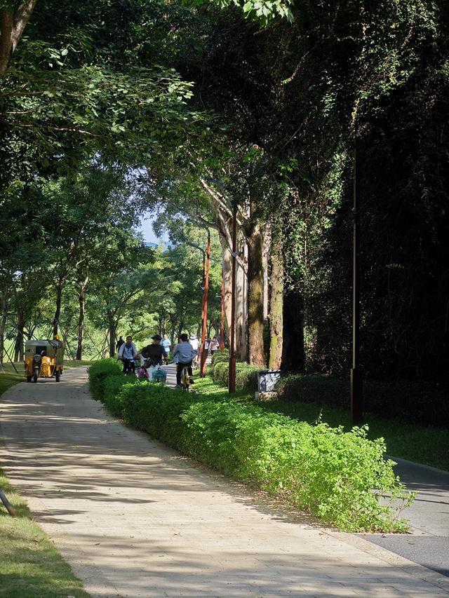 从学苑大道入大沙河绿过大学城后进深圳弯公园流花山景点【高清】