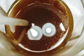 中气不足，脾胃病的根源！中气不足，需要用此3味药：人参图片