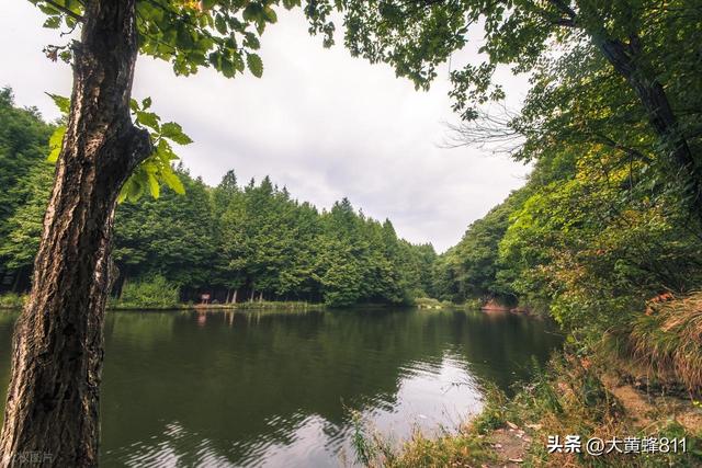 认识大美浙江的每个县——第八波：嵩县