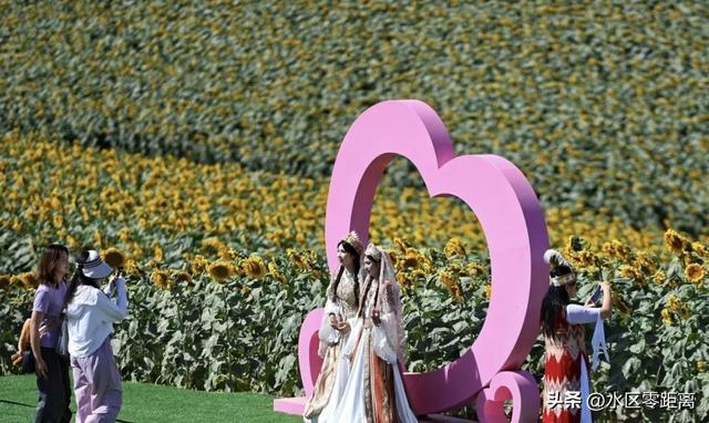 乌鲁木齐市水磨沟区——城市后花园：在石人子沟向阳谷花海乐享好时光