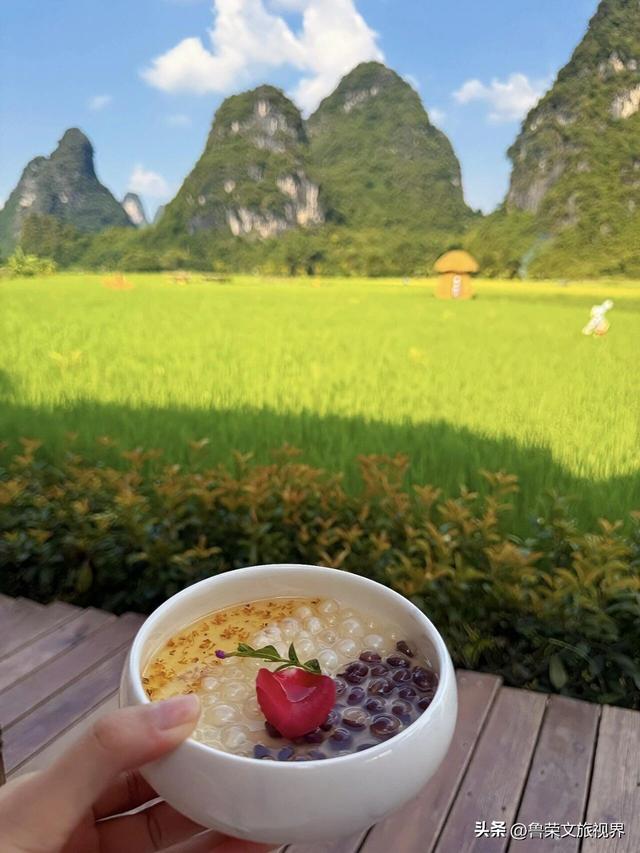 阳朔寻踪：在“栀子花下”，与稻田共赴一场蓝天白云的约会