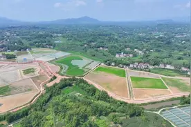 “一季虾一季稻”！大竹小龙虾撬动乡村振兴大产业图片