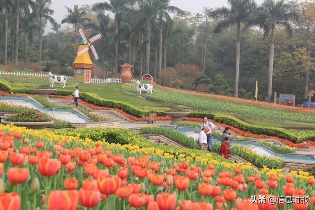 不负花城三十年 云台花园更璀璨