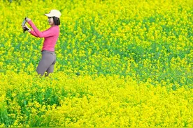 免费！沈阳这个地方变样了！花期只有约20天！图片