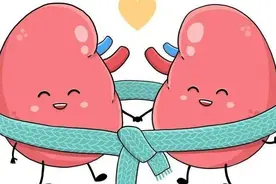 肾亏，难进补？仲景千年养肾第一方，没1味补肾药，补阴阳补肾精图片