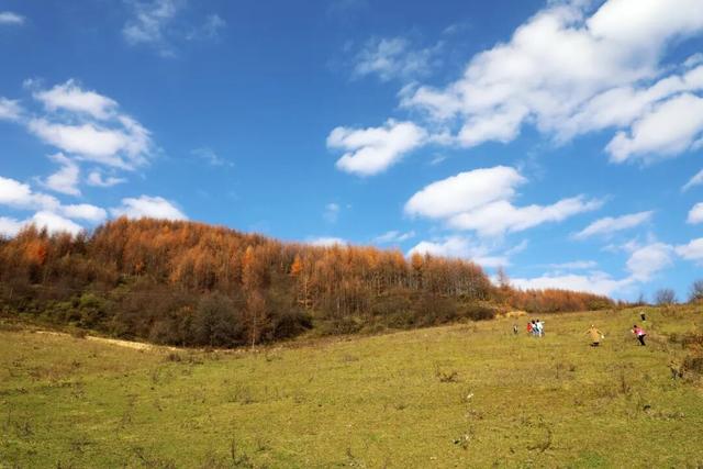 兰仓秋，染山河。