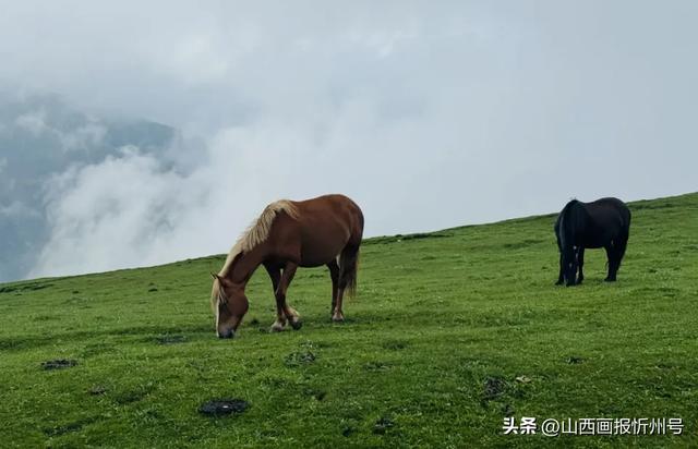 这里是五台山!