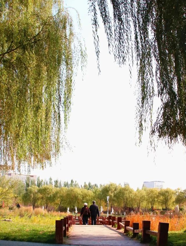 北疆文化 遇鉴赛罕 | 秋色漫卷赛罕:快将秋日打包,赶赴一场赛罕秋约!